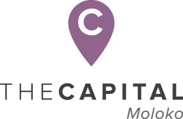 capital moloko logo