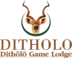 Ditholo Game Lodge Venue Experience 2016